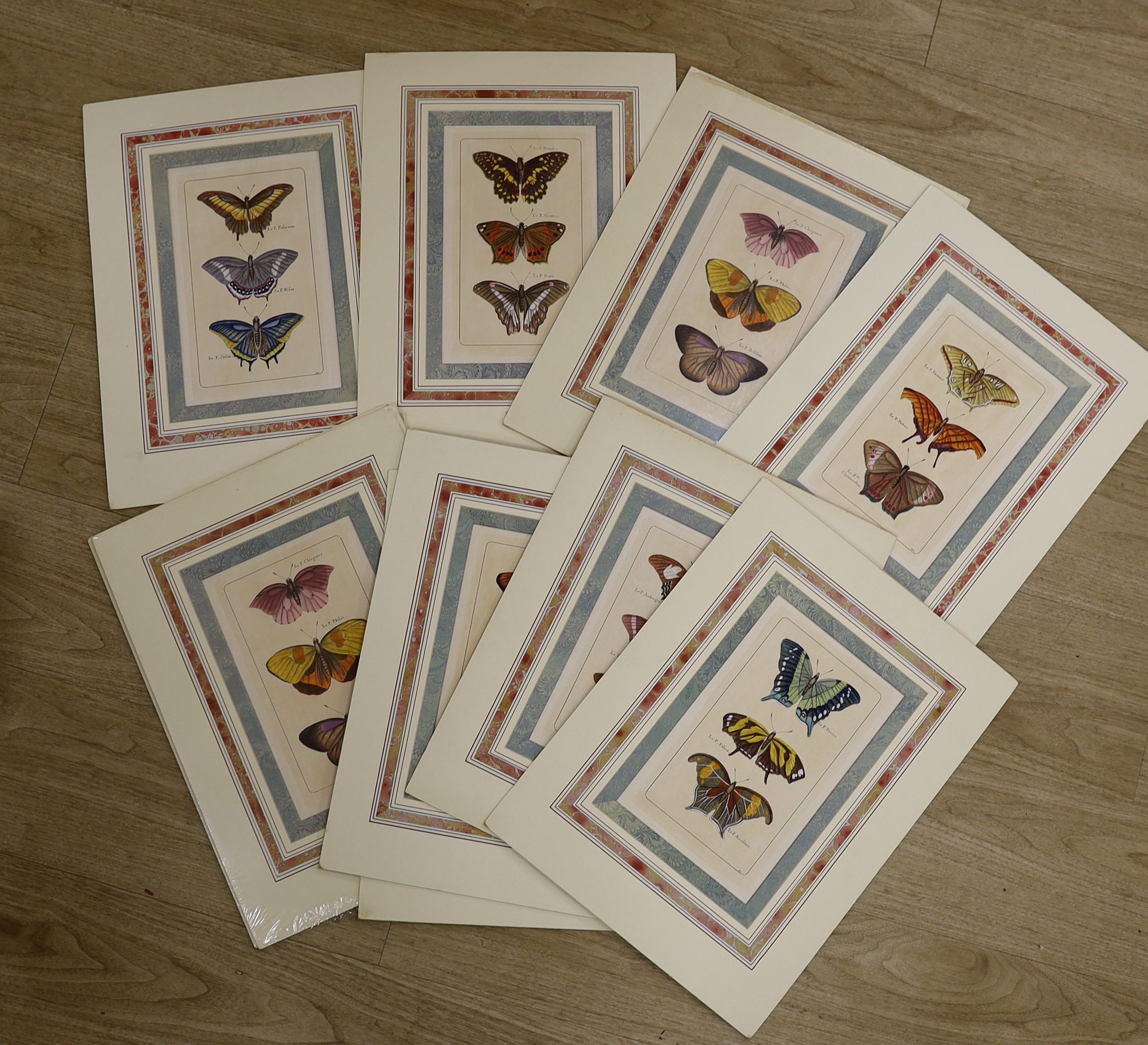 19th century French School, a set of ten hand coloured engravings, Studies of butterflies, 24 x 15cm, unframed